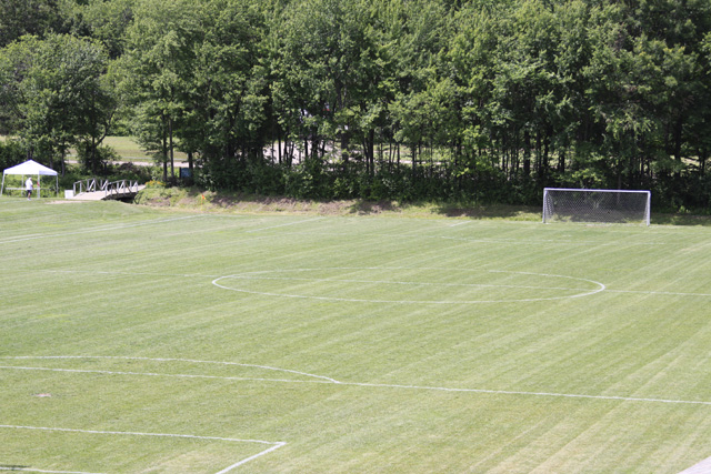Field 1