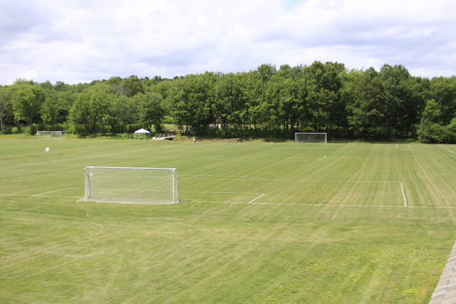 Field 3-1