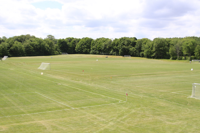 Field 4